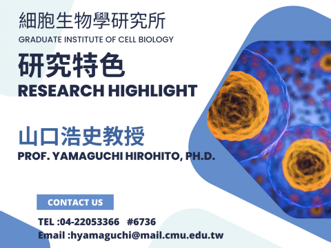 細胞生物學研究所-山口老師.png